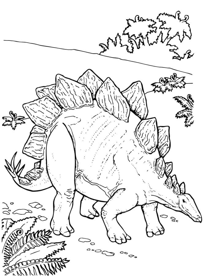 Dibujos para colorear: Stegosaurus