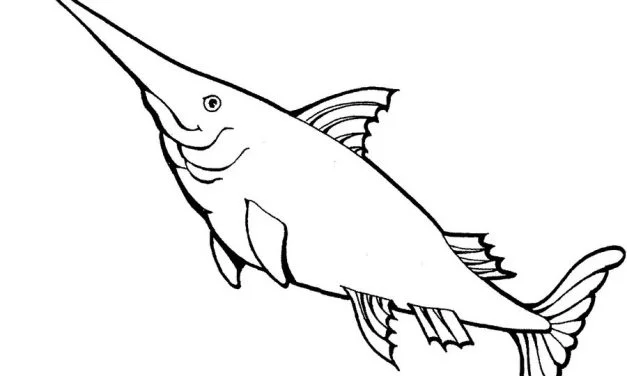 Coloring pages: Swordfish
