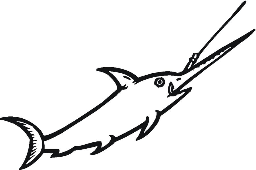 Dibujos para colorear: Peces espada