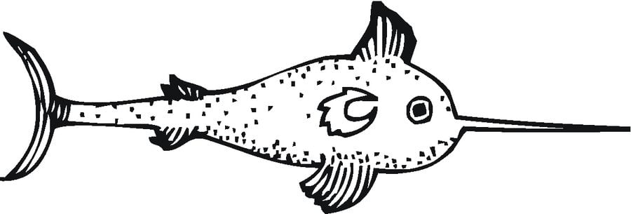 Disegni da colorare: Pescespada