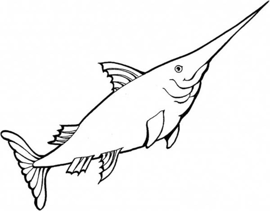 Coloring pages: Swordfish