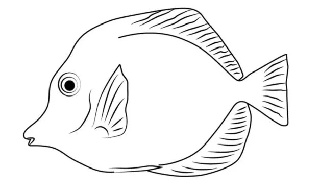 Coloring pages: Tangs