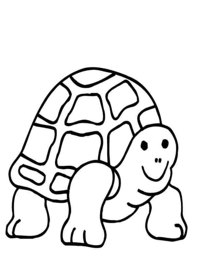 Disegni da colorare: Tartaruga palustre