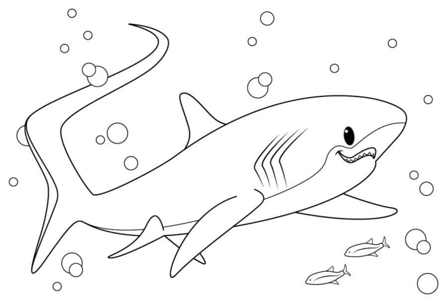 Coloring pages: Thresher shark