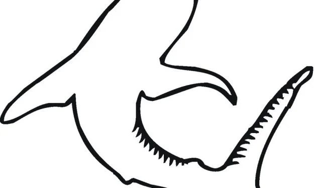 Coloring pages: Tiger shark