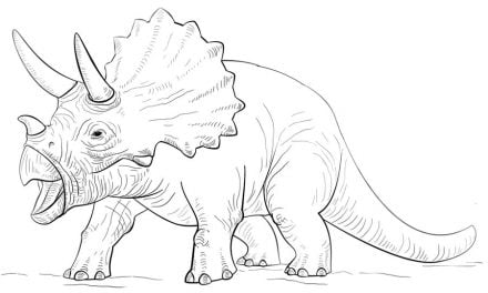Ausmalbilder: Triceratops