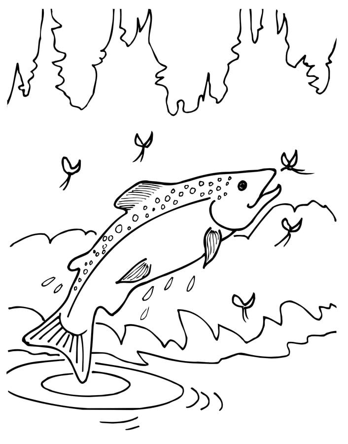 Coloring pages: Trouts