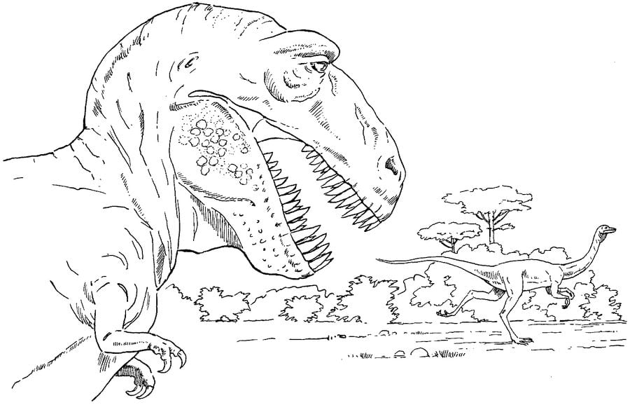 Ausmalbilder: Tyrannosaurus