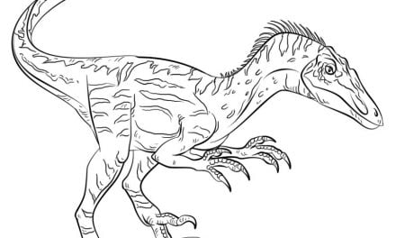 Ausmalbilder: Velociraptor