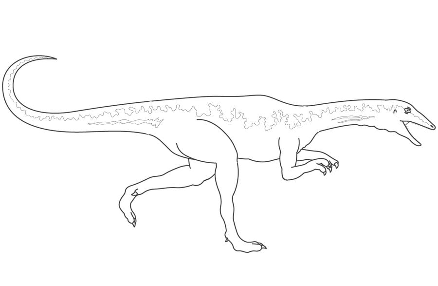 Dibujos para colorear: Velociraptor