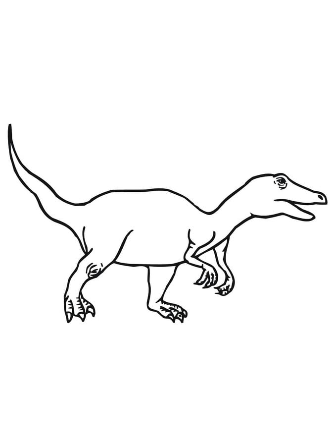 Dibujos para colorear: Velociraptor