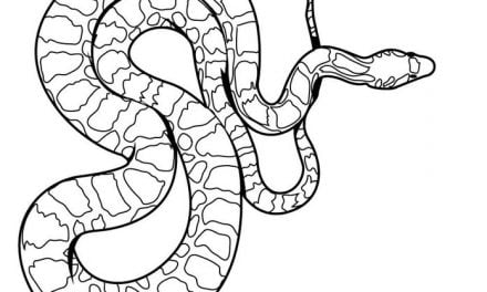 Coloring pages: Viper