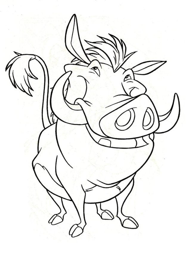 Coloring pages: Warthog