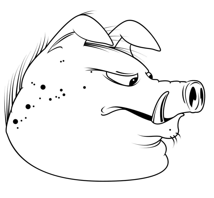 Coloring pages: Warthog 2