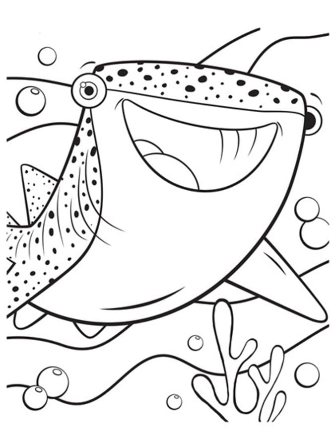 Disegni da colorare: Squali balena