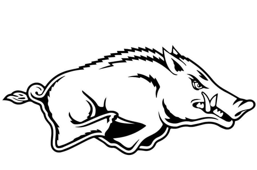Coloring pages: Wild boars