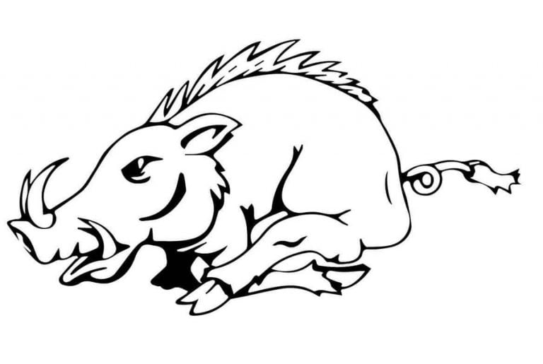 Coloring pages: Wild boars, printable for kids & adults, free