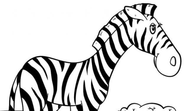 Kolorowanki: Zebra