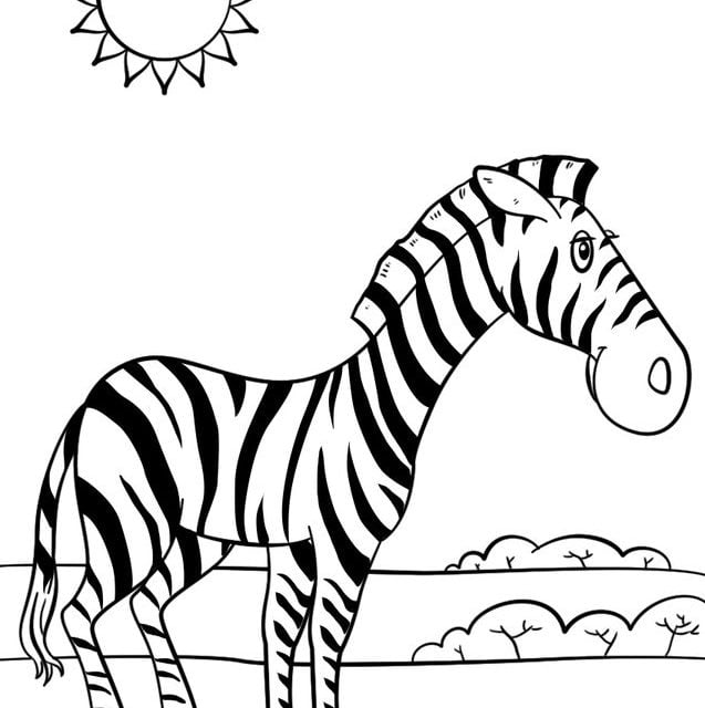 Disegni da colorare: Zebre