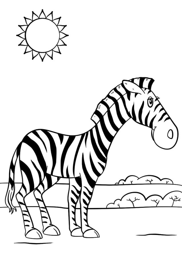 Kolorowanki: Zebra