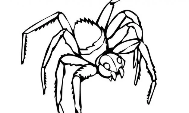 Coloring pages: Black Widow