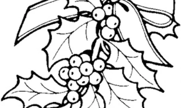 Coloring pages: Mistletoe