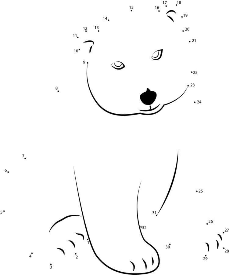 Relier les points: Plume, le petit ours polaire