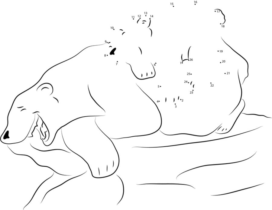Połącz kropki: Mały miś polarny