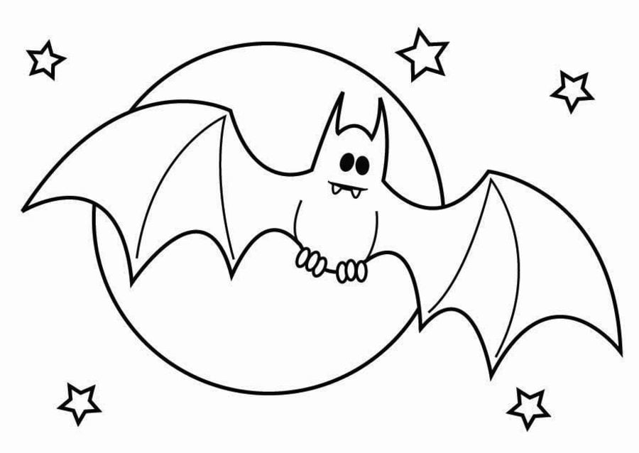 Coloring pages: Bats