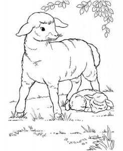 Coloring pages: Easter Lamb, printable for kids & adults, free