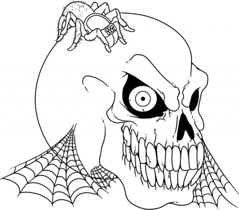 Coloring pages: Spiders, printable for kids &amp; adults, free