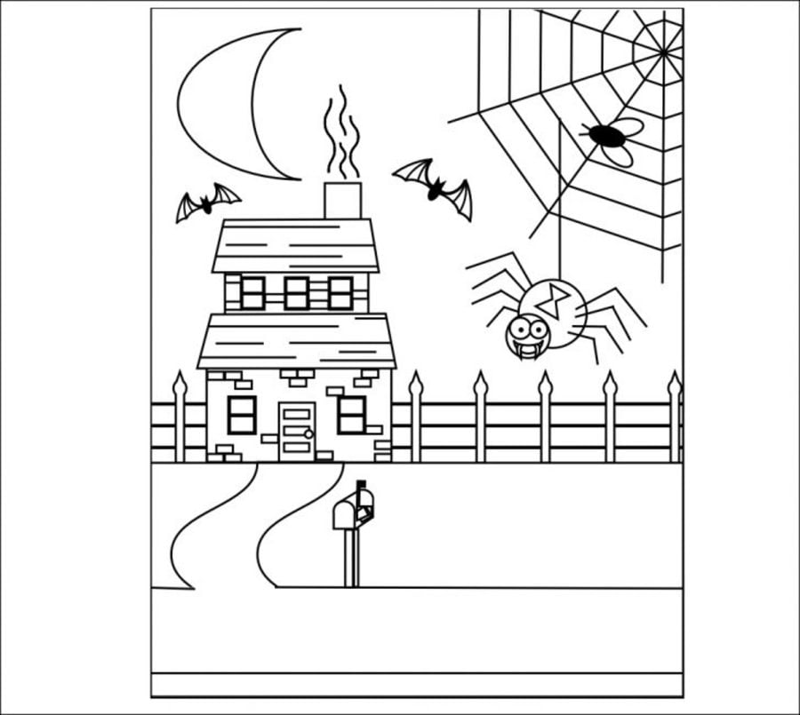 Coloring pages: Spiders