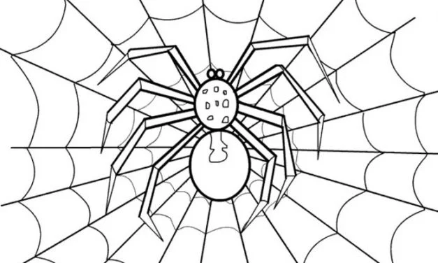 Coloring pages: Spiders