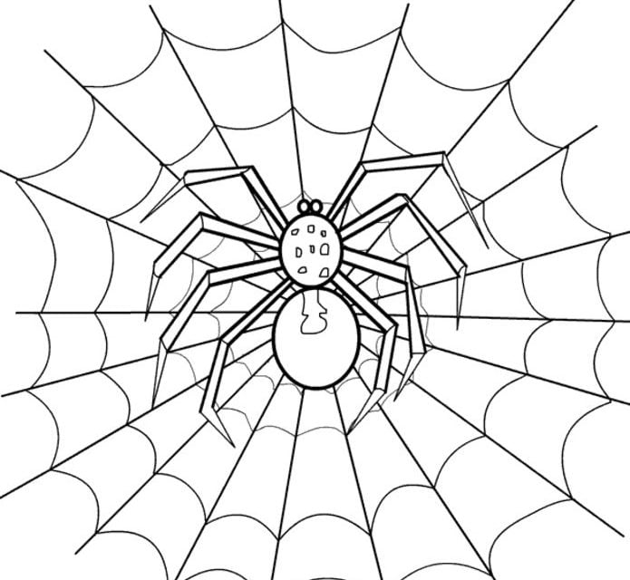 Dibujos para colorear: Arañas