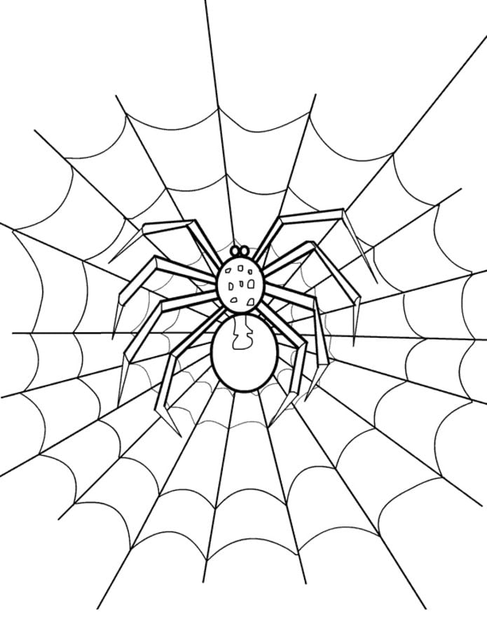 Coloring pages: Spiders