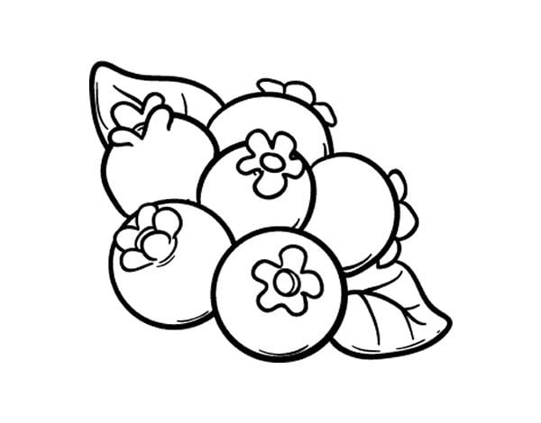 Coloring pages: Blueberry, printable for kids & adults, free to download