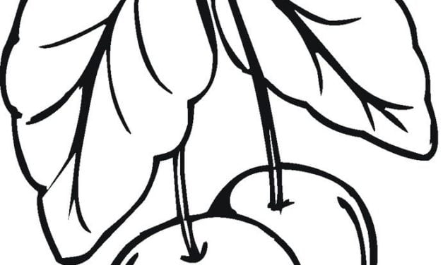 Coloring pages: Cherry