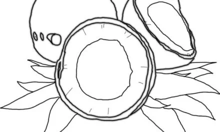 Coloring pages: Coconut