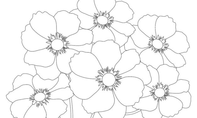 Coloring pages: Cosmos