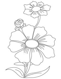 Coloring pages: Cosmos, printable for kids & adults, free to download