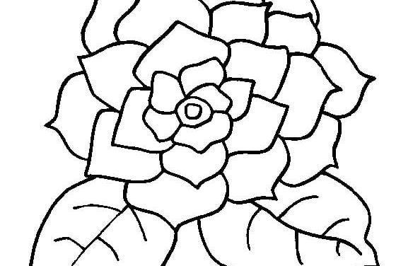 Coloring pages: Gardenia