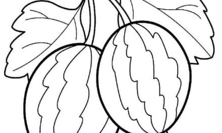 Dibujos para colorear: Ribes uva-crispa
