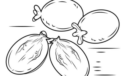 Coloring pages: Guava