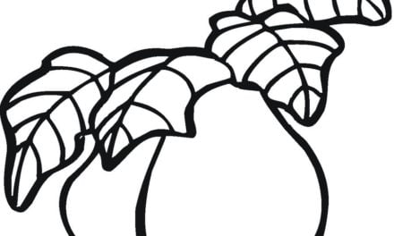 Coloring pages: Pear