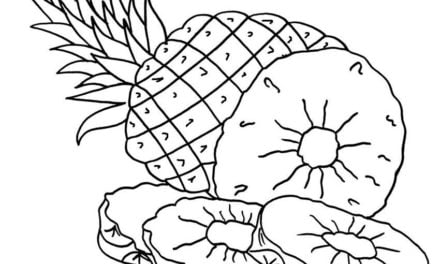 Coloring pages: Pineapple