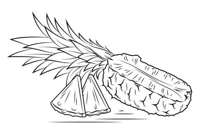 Ausmalbilder: Ananas zum ausdrucken, kostenlos, für Kinder und Erwachsene