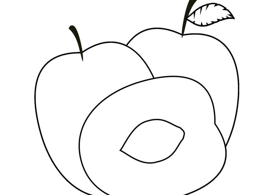 Dibujos para colorear: Prunus