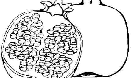 Ausmalbilder: Granatapfel