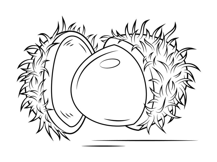 Coloring pages: Rambutan, printable for kids & adults, free to download
