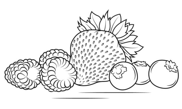 Dibujos para colorear: Fresas